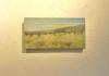 #682 Desert Brush 12x6