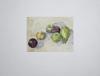 #9421 Unframed Watercolor of Pears and Fruit 12x9