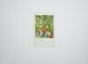 #9422 Unframed Watercolor Salad 7x11