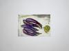 #9433 Unframed Watercolor of Eggplants and Apple 18x12