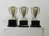 #1307 Trophies 5x10